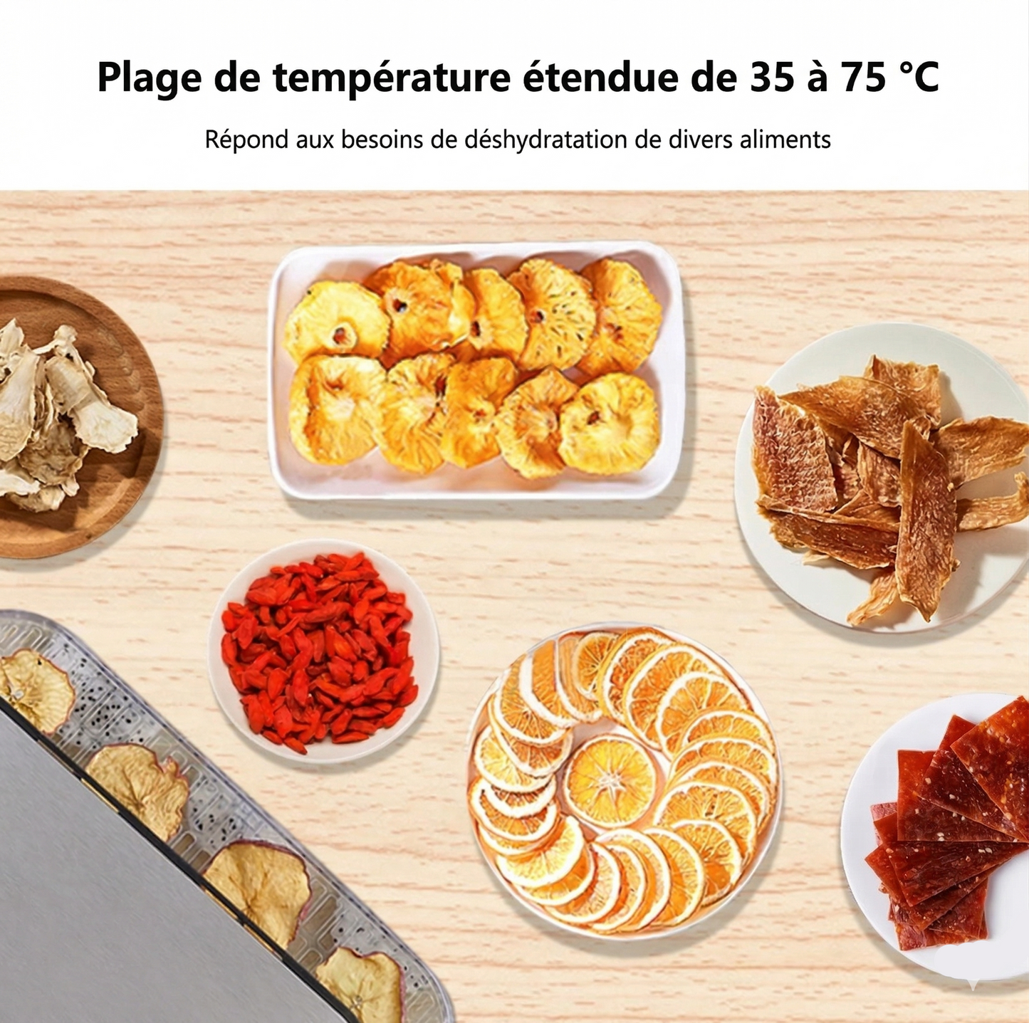Déshydrateur Alimentaire 5 Plateaux | Minuterie Numérique | Sans BPA | Fruits, Légumes & Viande