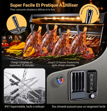 Thermomètre à Viande Sans Fil | Sonde Étanche | BBQ, Four & Rôtissoire | Alarme Température